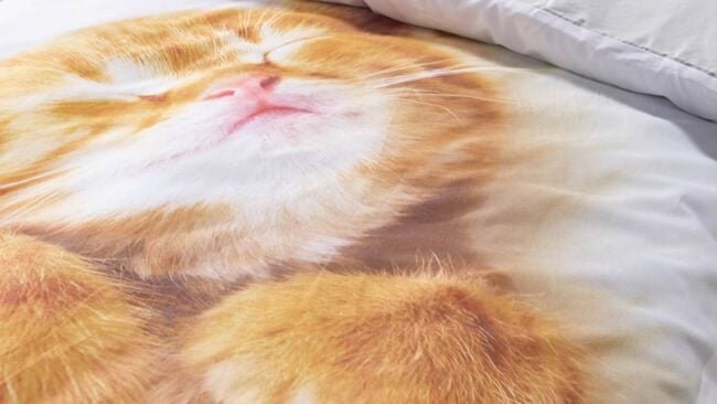 iSeng Kitten dekbedovertrek - Afbeelding 3