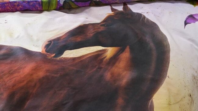 iSeng Ponyta dekbedovertrek - Afbeelding 3