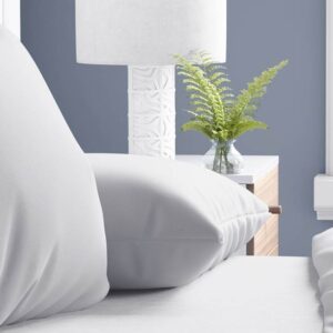 Dreamhouse Flanel Premium kussenslopen (set van 2)